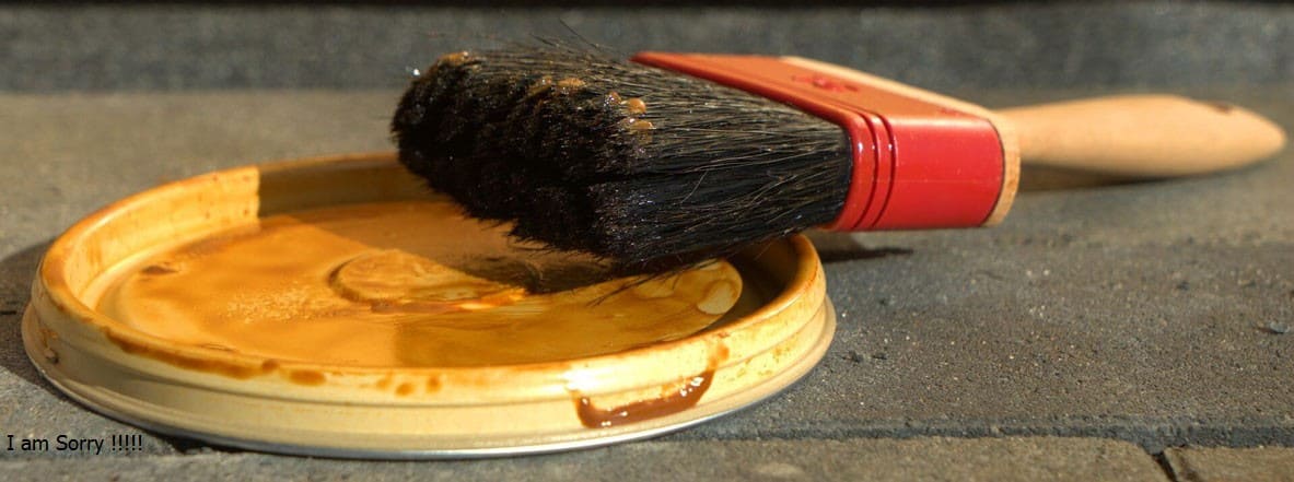 Image of a new homeowners painting brush
